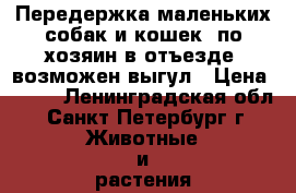 Передержка маленьких собак и кошек  по хозяин в отъезде, возможен выгул › Цена ­ 500 - Ленинградская обл., Санкт-Петербург г. Животные и растения » Собаки   . Ленинградская обл.,Санкт-Петербург г.